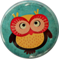 Badge owl yellow red blue